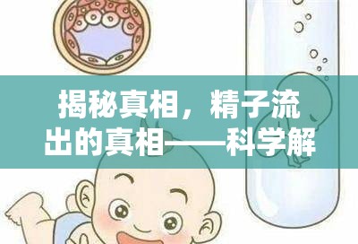 揭秘真相，精子流出的真相——科學(xué)解析與誤解澄清
