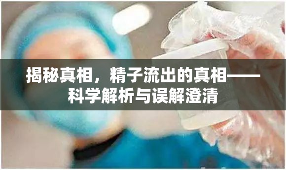 揭秘真相，精子流出的真相——科學(xué)解析與誤解澄清