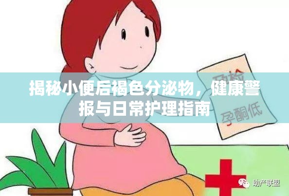 揭秘小便后褐色分泌物，健康警報(bào)與日常護(hù)理指南