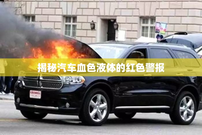 揭秘汽車血色液體的紅色警報(bào)