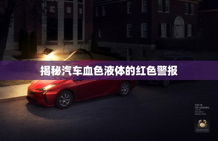 揭秘汽車血色液體的紅色警報(bào)