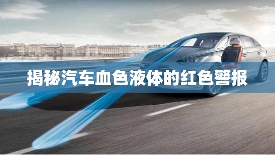 揭秘汽車血色液體的紅色警報(bào)