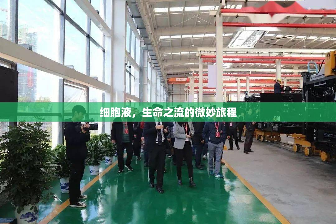 細胞液，生命之流的微妙旅程