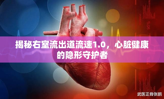 揭秘右室流出道流速1.0，心臟健康的隱形守護者