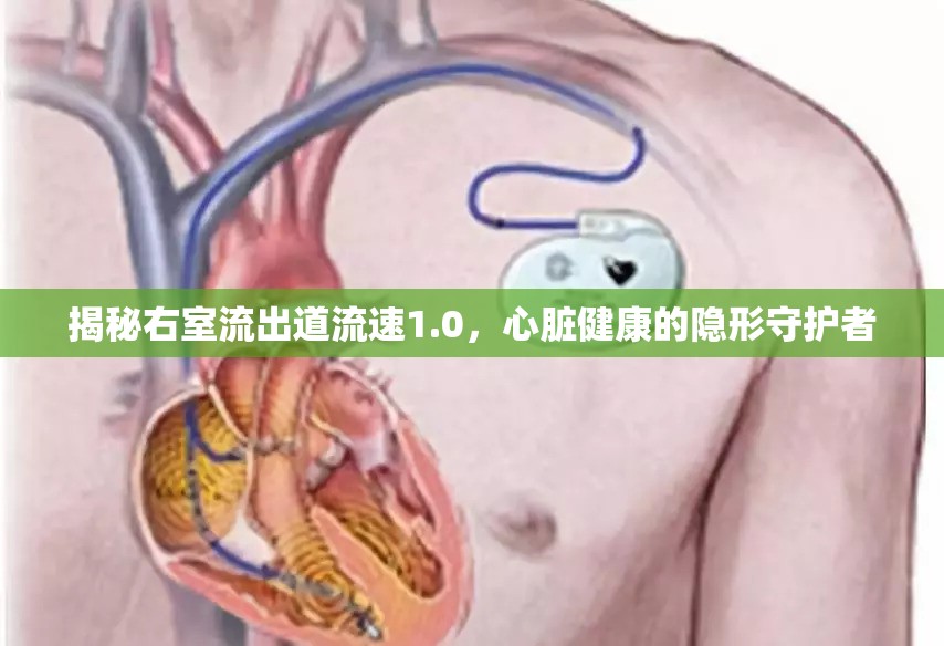 揭秘右室流出道流速1.0，心臟健康的隱形守護者