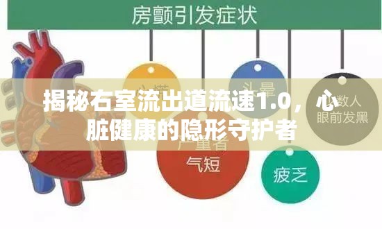 揭秘右室流出道流速1.0，心臟健康的隱形守護者