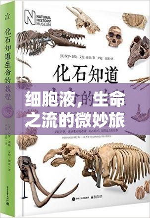 細胞液，生命之流的微妙旅程