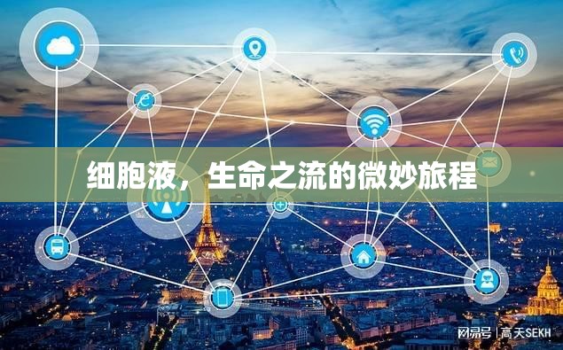 細胞液，生命之流的微妙旅程