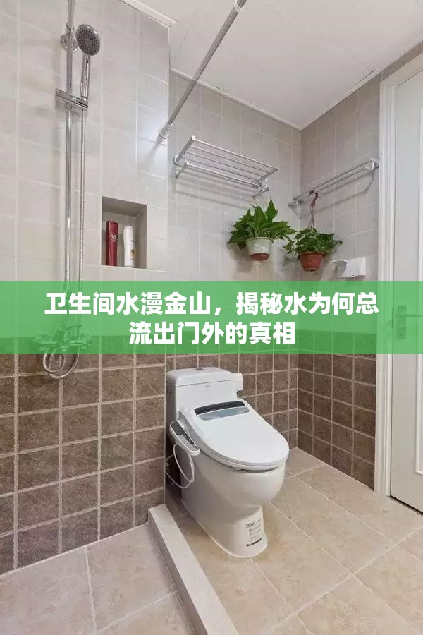 衛(wèi)生間水漫金山，揭秘水為何總流出門外的真相