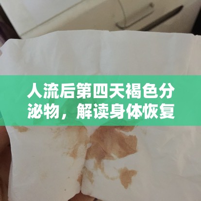 人流后第四天褐色分泌物，解讀身體恢復(fù)的微妙信號