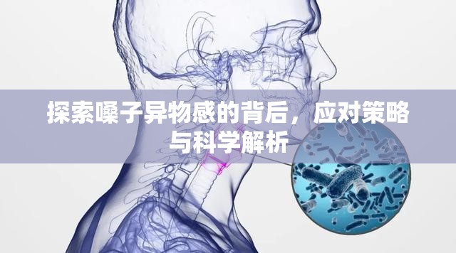 探索嗓子異物感的背后，應(yīng)對策略與科學(xué)解析