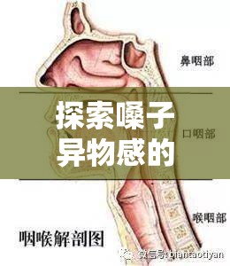 探索嗓子異物感的背后，應(yīng)對策略與科學(xué)解析