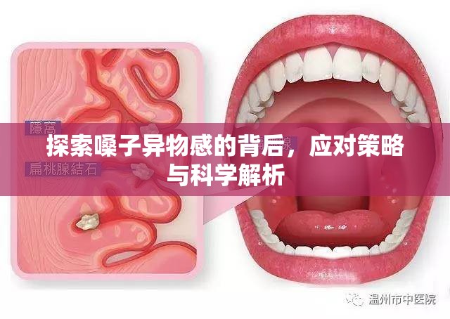 探索嗓子異物感的背后，應(yīng)對策略與科學(xué)解析