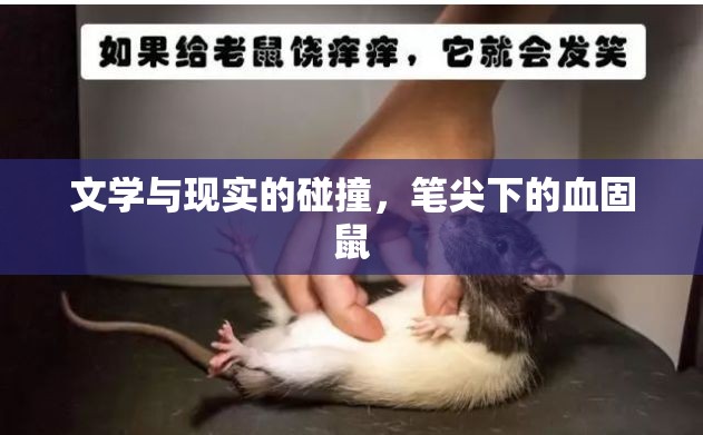 文學(xué)與現(xiàn)實(shí)的碰撞，筆尖下的血固鼠