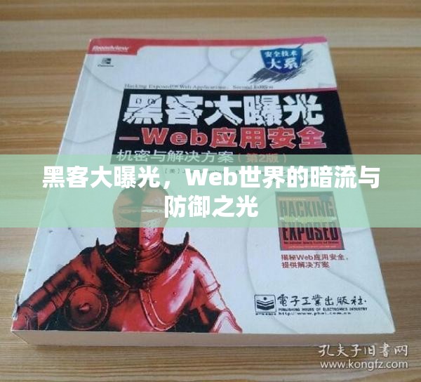 黑客大曝光，Web世界的暗流與防御之光
