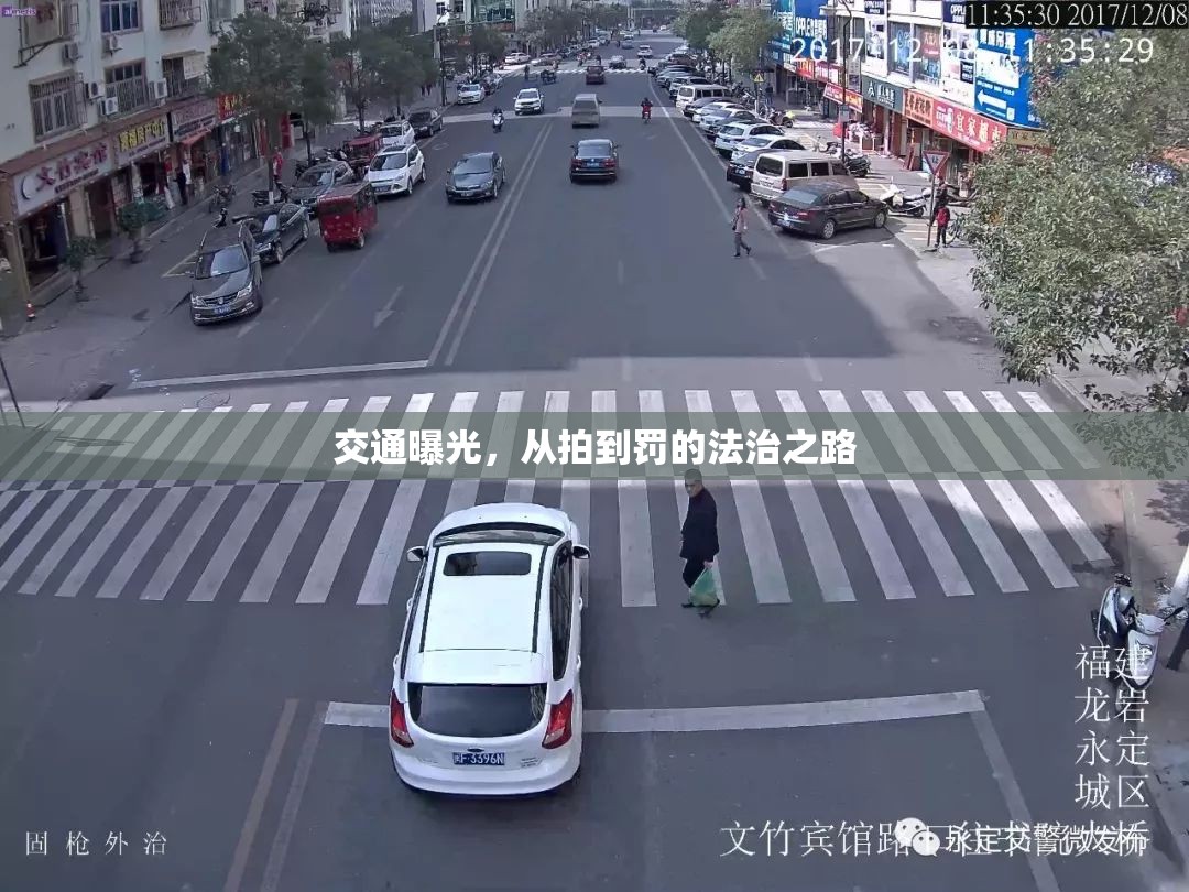 交通曝光，從拍到罰的法治之路