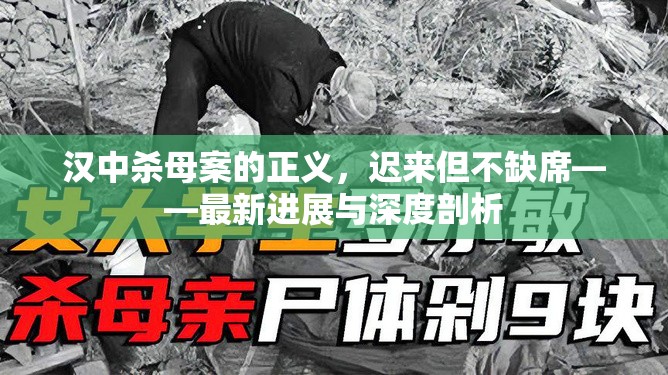 漢中殺母案的正義，遲來但不缺席——最新進(jìn)展與深度剖析