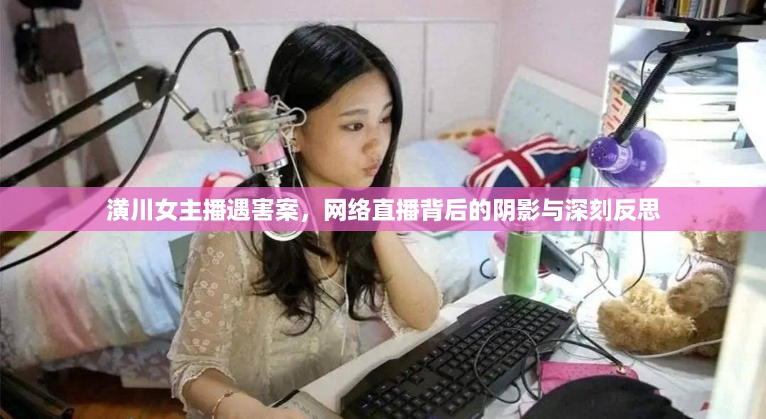 潢川女主播遇害案，網(wǎng)絡(luò)直播背后的陰影與深刻反思