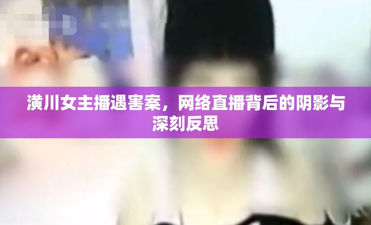 潢川女主播遇害案，網(wǎng)絡(luò)直播背后的陰影與深刻反思