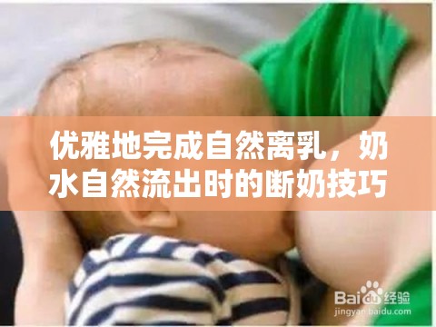 優(yōu)雅地完成自然離乳，奶水自然流出時的斷奶技巧