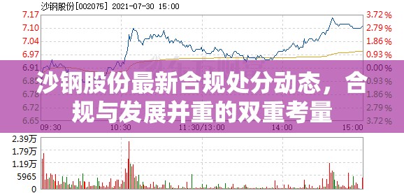沙鋼股份最新合規(guī)處分動(dòng)態(tài)，合規(guī)與發(fā)展并重的雙重考量