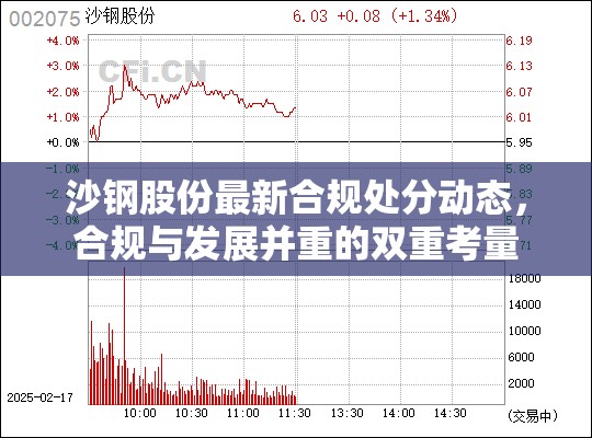 沙鋼股份最新合規(guī)處分動(dòng)態(tài)，合規(guī)與發(fā)展并重的雙重考量