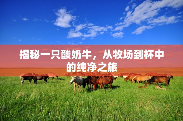 揭秘一只酸奶牛，從牧場到杯中的純凈之旅