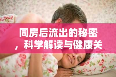 同房后流出的秘密，科學(xué)解讀與健康關(guān)懷