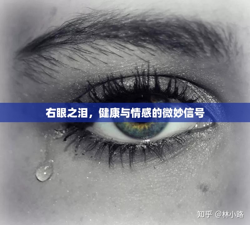 右眼之淚，健康與情感的微妙信號