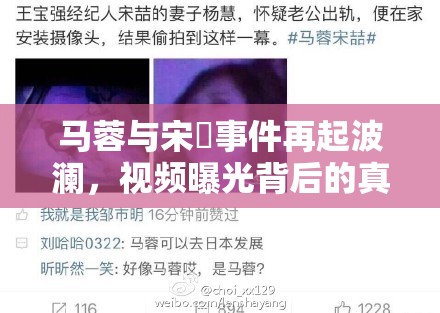 馬蓉與宋喆事件再起波瀾，視頻曝光背后的真相與公眾反思