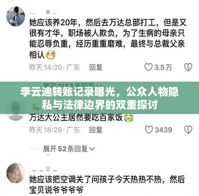 李云迪轉(zhuǎn)賬記錄曝光，公眾人物隱私與法律邊界的雙重探討