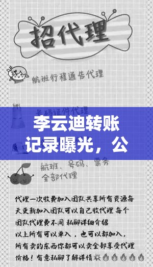 李云迪轉(zhuǎn)賬記錄曝光，公眾人物隱私與法律邊界的雙重探討