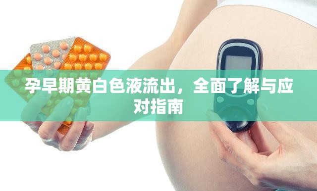 孕早期黃白色液流出，全面了解與應(yīng)對指南