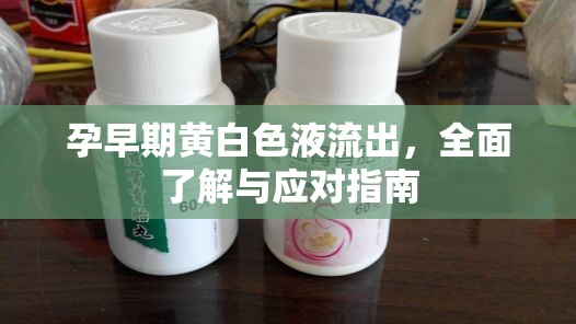 孕早期黃白色液流出，全面了解與應(yīng)對指南