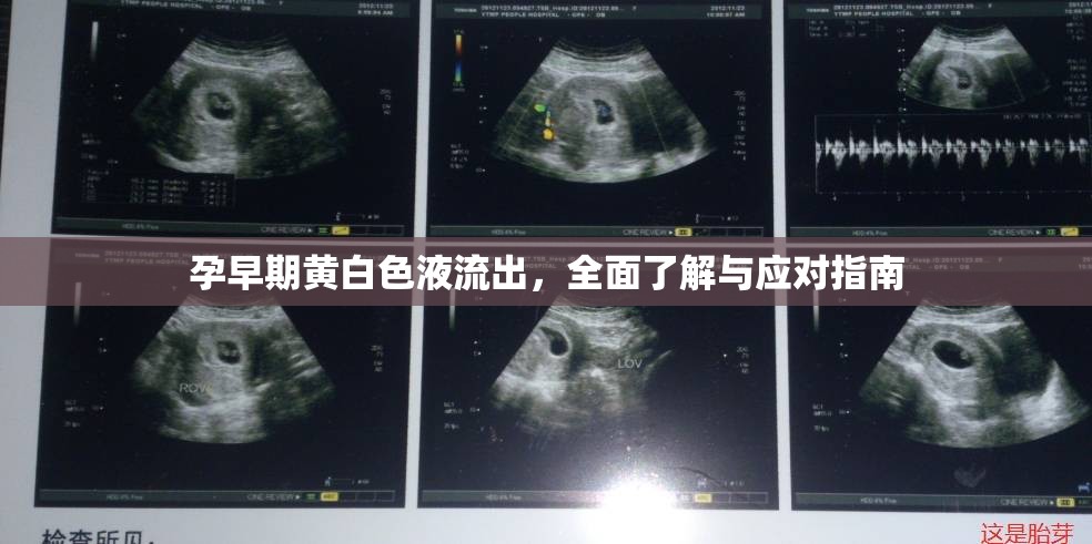 孕早期黃白色液流出，全面了解與應(yīng)對指南