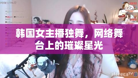 韓國女主播獨(dú)舞，網(wǎng)絡(luò)舞臺上的璀璨星光