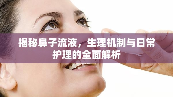 揭秘鼻子流液，生理機(jī)制與日常護(hù)理的全面解析