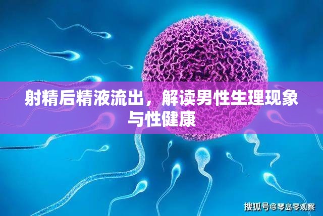 射精后精液流出，解讀男性生理現(xiàn)象與性健康