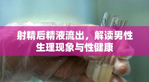 射精后精液流出，解讀男性生理現(xiàn)象與性健康