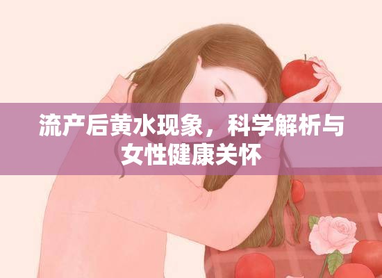 流產(chǎn)后黃水現(xiàn)象，科學解析與女性健康關懷