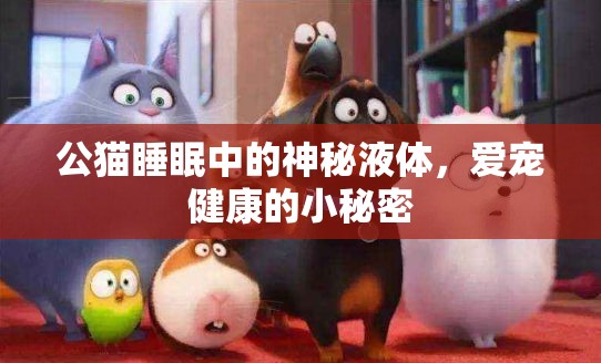 公貓睡眠中的神秘液體，愛寵健康的小秘密