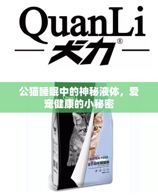 公貓睡眠中的神秘液體，愛寵健康的小秘密