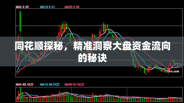 同花順探秘，精準(zhǔn)洞察大盤資金流向的秘訣