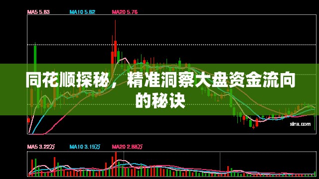 同花順探秘，精準(zhǔn)洞察大盤資金流向的秘訣
