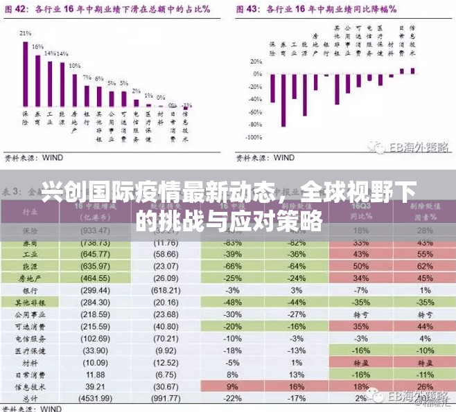 興創(chuàng)國際疫情最新動態(tài)，全球視野下的挑戰(zhàn)與應(yīng)對策略