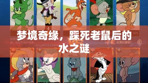 夢境奇緣，踩死老鼠后的水之謎