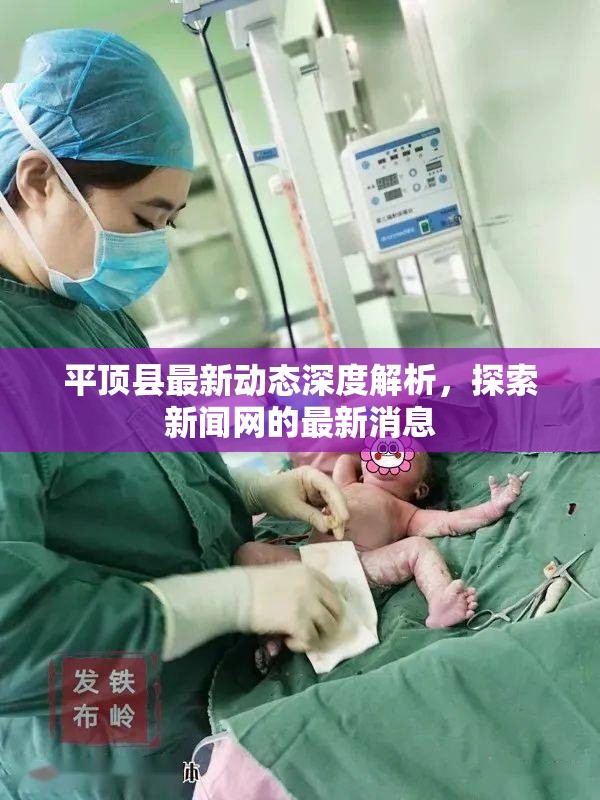 平頂縣最新動態(tài)深度解析，探索新聞網(wǎng)的最新消息