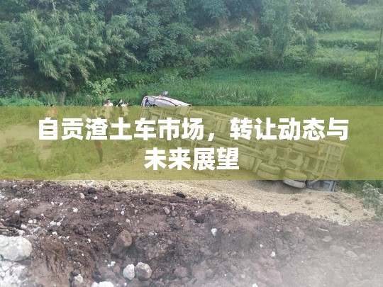 自貢渣土車市場，轉讓動態(tài)與未來展望