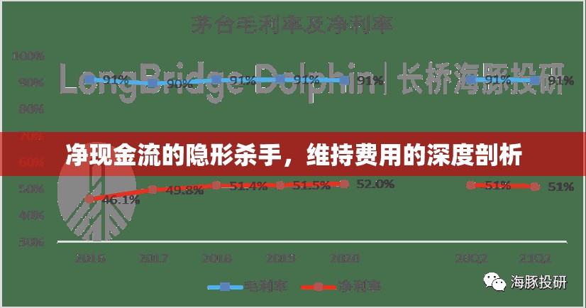 凈現(xiàn)金流的隱形殺手，維持費用的深度剖析