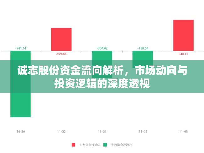 誠志股份資金流向解析，市場動向與投資邏輯的深度透視